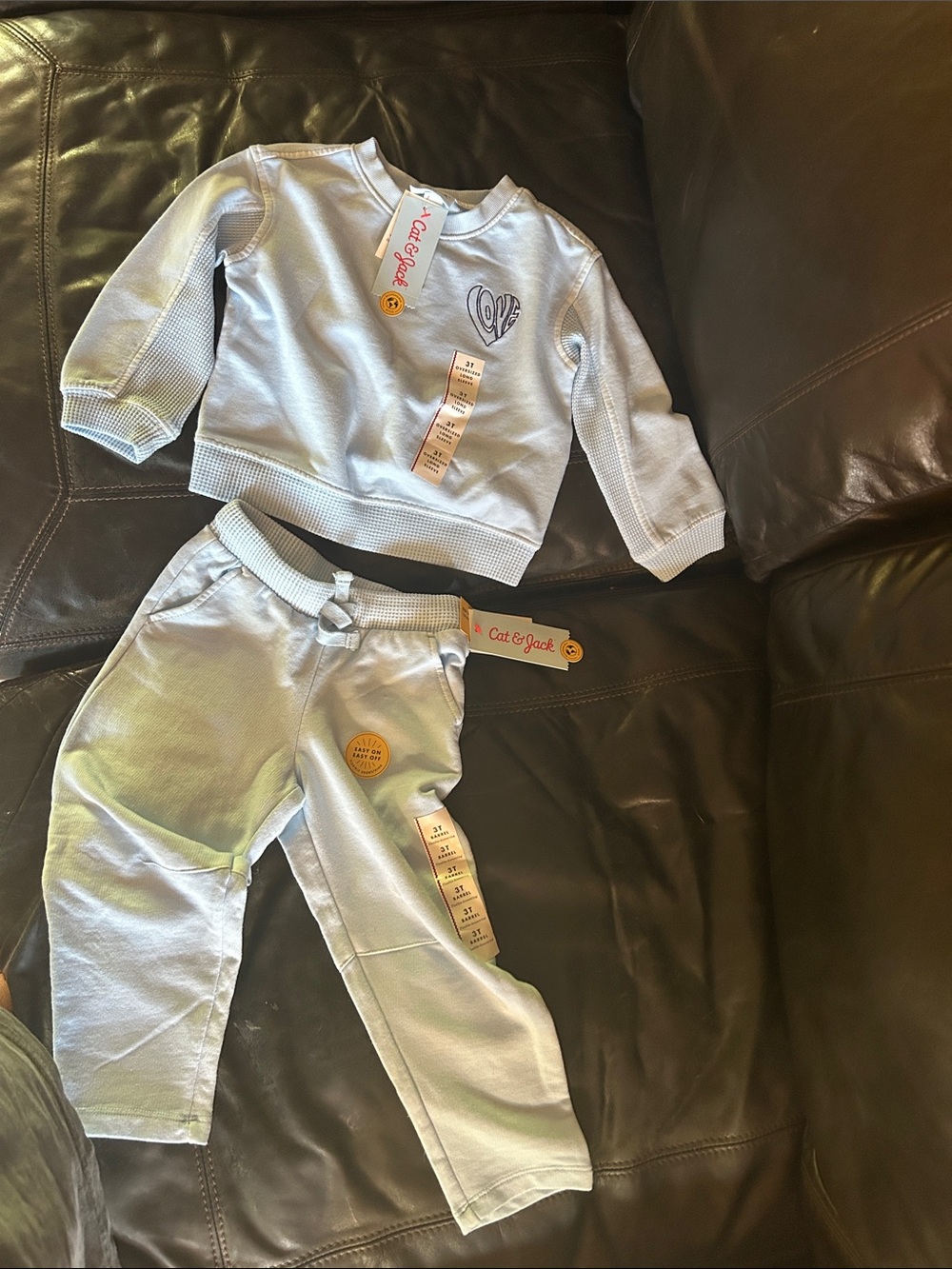 Cat & Jack Light Blue Sweatshirt and Jogger Set with Heart Detail